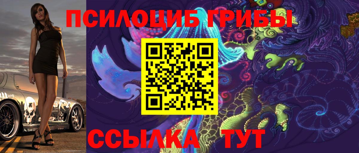 Псилоцибиновые грибы Cubensis Черногорск